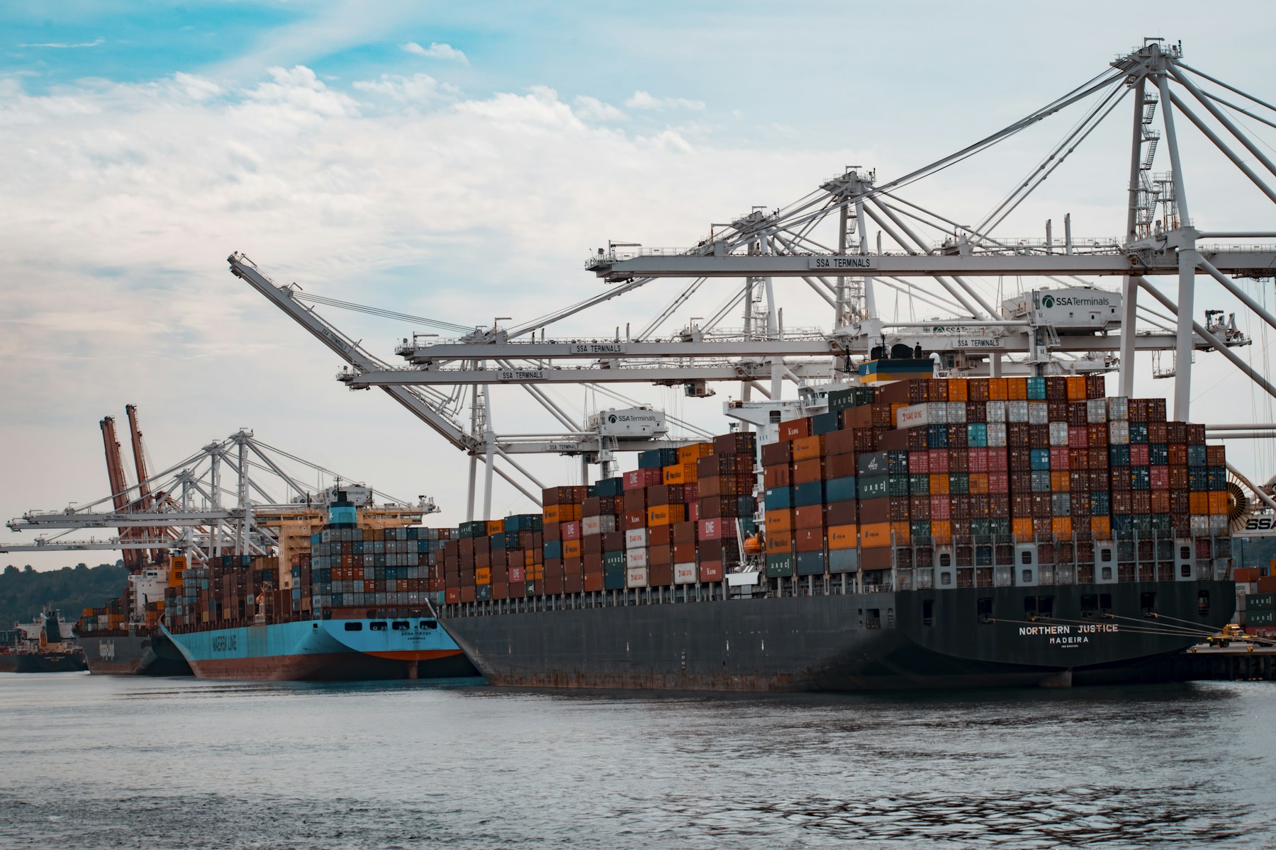 Container ships and cranes at a cargo terminal